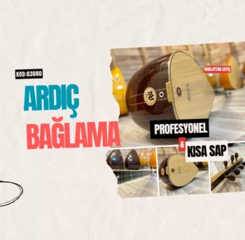 Ardıç Bağlama Profesyonel Kısa Sap