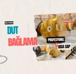 Kısa Sap Dut Bağlama