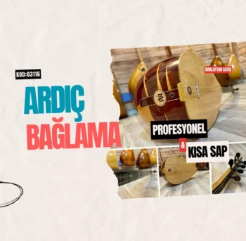 Ardıç Bağlama Profesyonel Kısa Sap