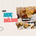 Ardıç Bağlama Kısa Sap