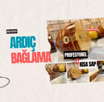 Ardıç Bağlama Kısa Sap