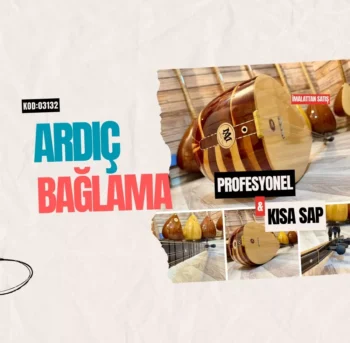 Ardıç Bağlama Profesyonel Kısa Sap