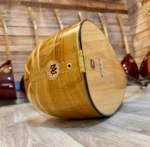 Uzun Sap Dut Bağlama