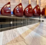 Uzun Sap Dut Bağlama