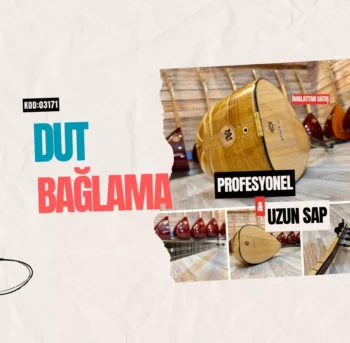 Uzun Sap Dut Bağlama