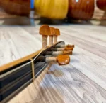 Kısa Sap Dut Bağlama