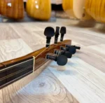 Maun Bağlama