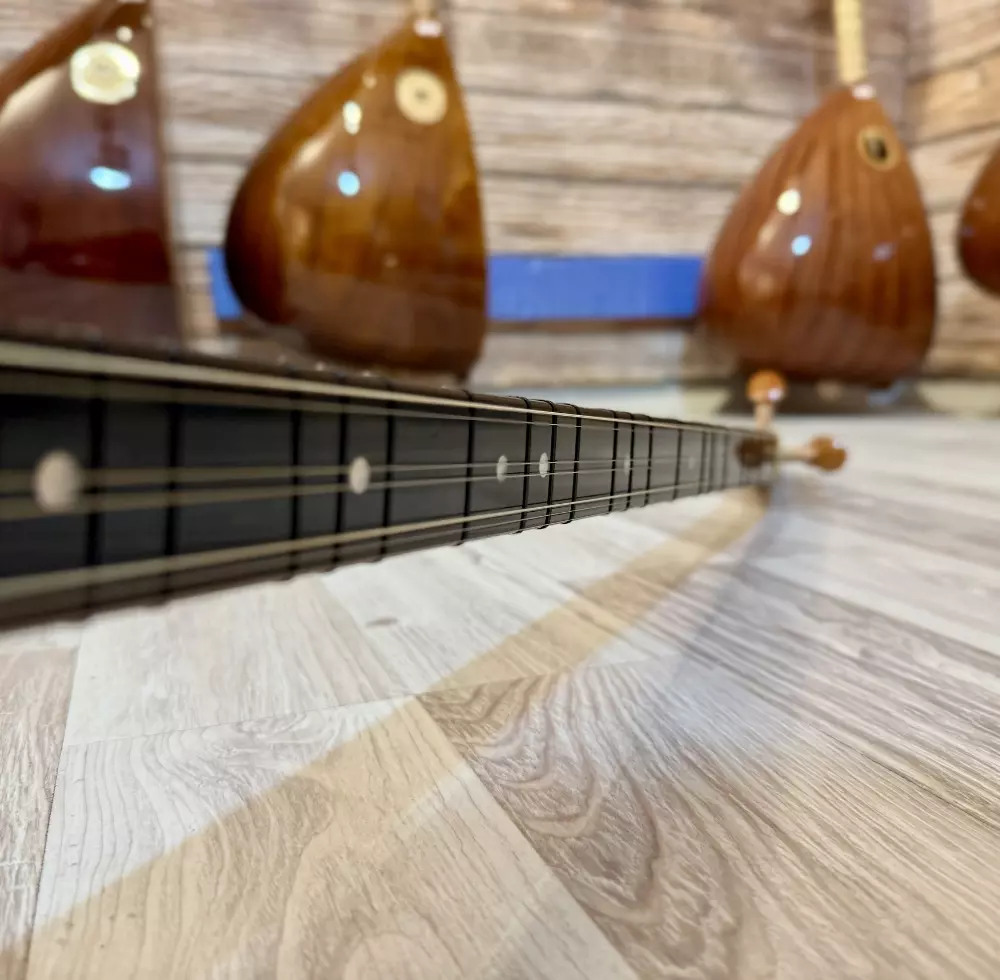 Maun Bağlama Maun Bağlama