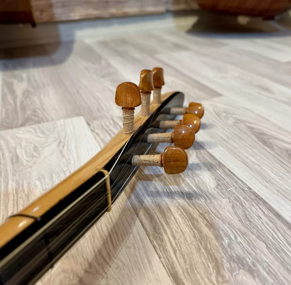 Maun Bağlama Maun Bağlama