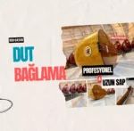 Uzun Sap Saz