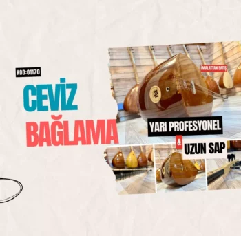 Uzun Sap Saz