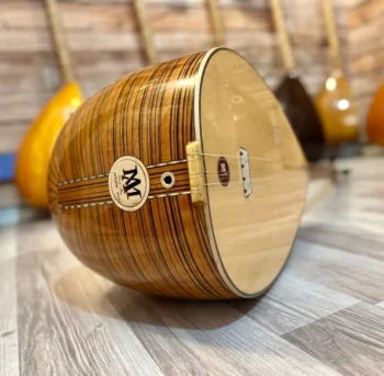 Profesyonel Bağlama