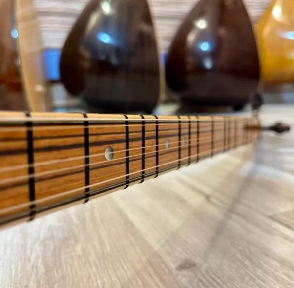 Profesyonel Bağlama
