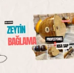 Profesyonel Bağlama