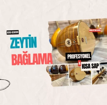 Profesyonel Bağlama