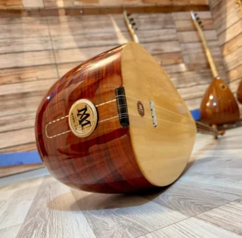 Profesyonel Bağlama