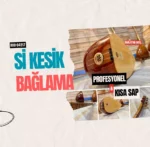 Profesyonel Bağlama