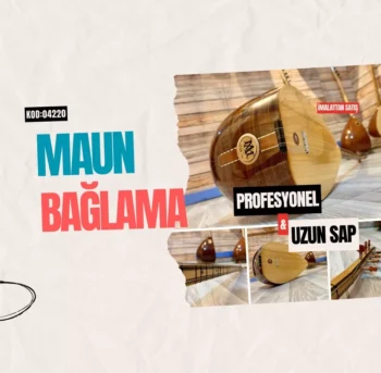 Uzun Sap Saz Maun