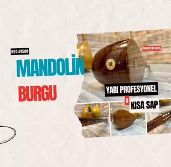 Mandolin Burgulu Bağlama