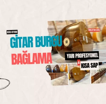 Mandolin Burgulu Bağlama