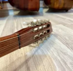 Mandolin Burgulu Bağlama