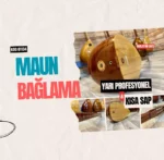 Mandolin Burgulu Bağlama