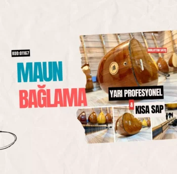 Maun Bağlama