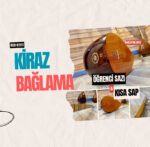 Öğrenci Bağlaması Kısa Sap