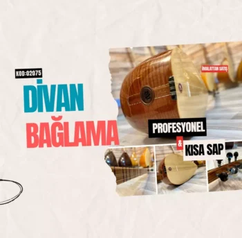 Divan Bağlama