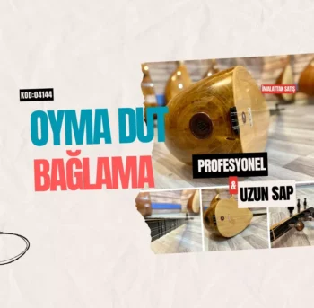 Oyma Dut