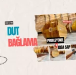 Kısa Sap Bağlama