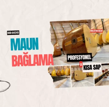 Kısa Sap Bağlama
