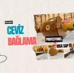 Kısa Sap Bağlama