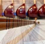 Ters Düzen Bağlama