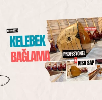 Ters Düzen Bağlama