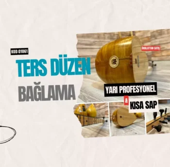 Ters Düzen Bağlama