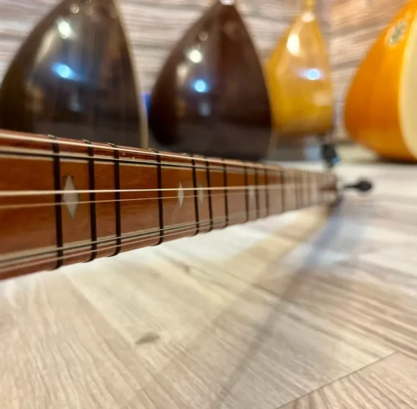 Ters Düzen Bağlama