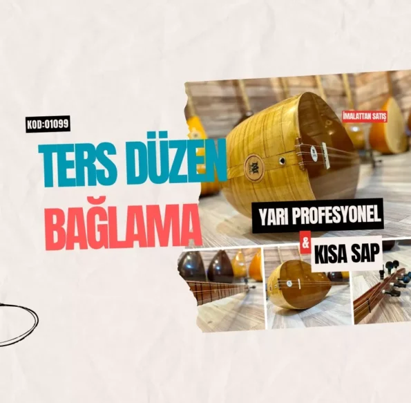 Ters Düzen Bağlama