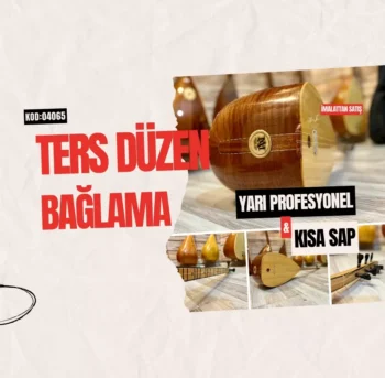 Ters Düzen Bağlama