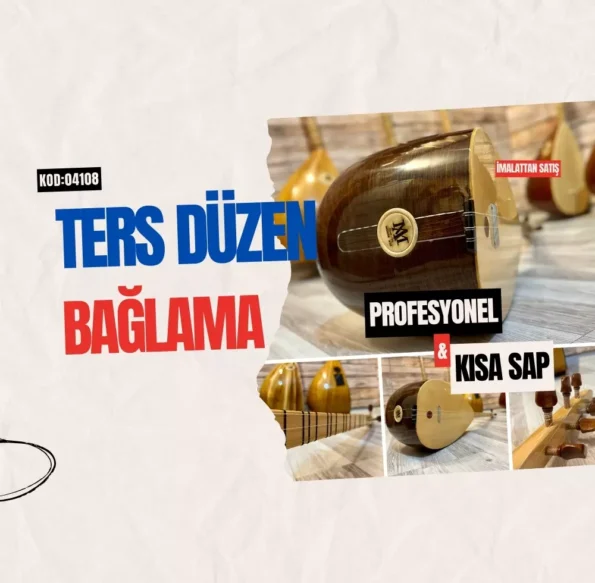 Ters Düzen Bağlama