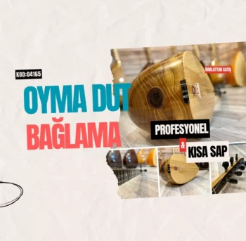 Kısa Sap Oyma Dut