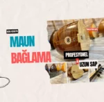 Maun Saz