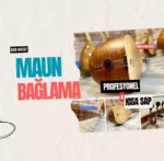 Maun Saz