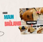 Kısa Sap Maun