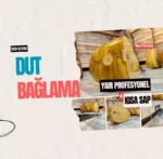 Kısa Sap Bağlama