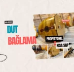 Dut Saz