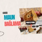 Kısa Bağlama