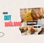 Dut Bağlama