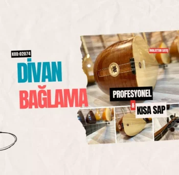 Divan Sazı