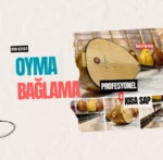Oyma Dut Bağlama